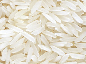 brazilian polished white rice color export